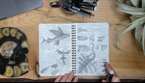 Overhead image of an open field notebook with fish sketches laying on a woodgrain table with part of a plant visible