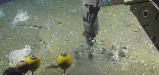 ROV Hercules taking a push core sample