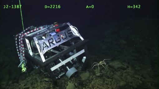 ROV Argus a silver cage remotely operated vehicles is rigged with silver and red banded lifting straps for recovery from a hard brown lava the seafloor. 
