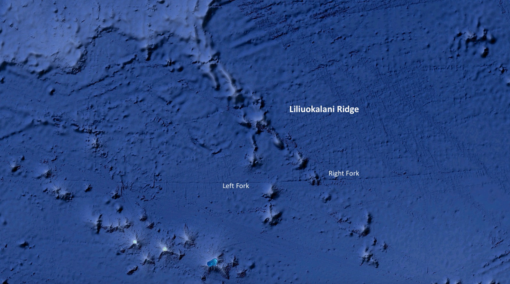 Liliʻuokalani seamounts showing right and left forks in this seamount trail. Google Earth 