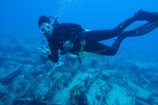 Diver on wreck