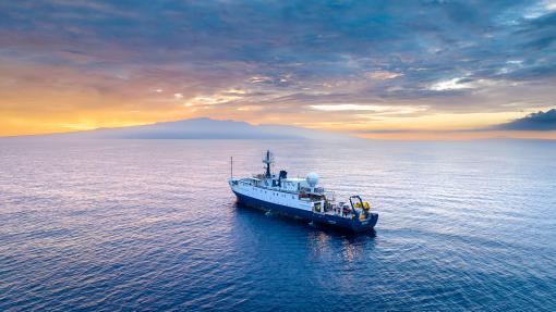 Yellow Brick Road Discovered In Pacific Ocean During First-Ever