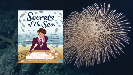 Secrets of the Sea Storytime at Sea
