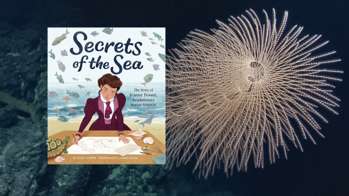 Storytime At Sea: Secrets Of The Sea  Nautilus Live