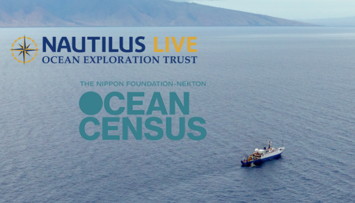 Ocean Exploration Trust and Ocean Census Partner to Accelerate Ocean Exploration and New Species Discovery