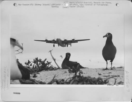 Airplanes landing at Eastern Island at Kuaihelani (Midway Atoll), 1943. 