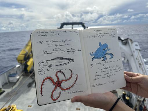 Ocean doodles by Upasana Ganguly