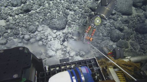 New Study Documents First in-situ Discovery of Fossil Megalodon Tooth in Deep Pacific Ocean