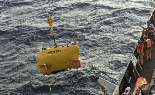 AUV Sentry