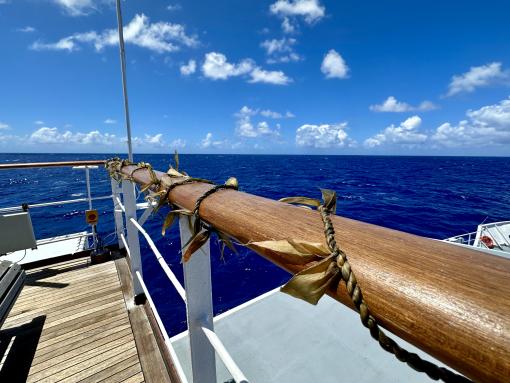 the Ti leaf lei was made for the journey into Papahānaumokuākea by our Kanaka ʻŌiwi crewmates. 