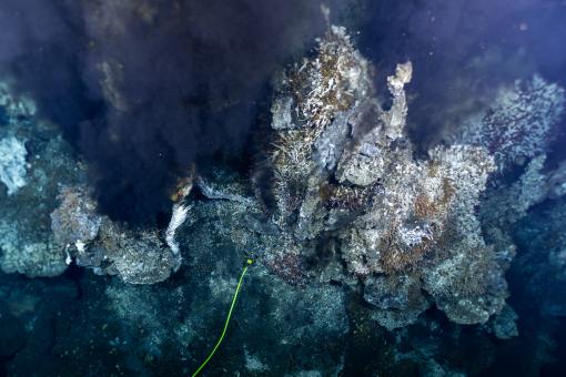 endeavour hydrothermal vents