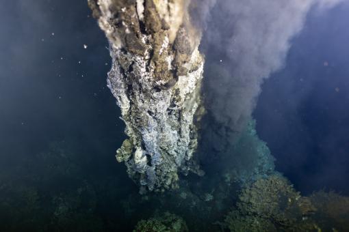 hydrothermal vents endeavour