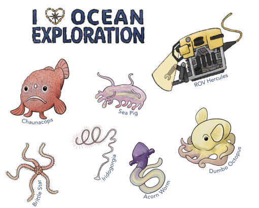 Hand drawn illistrations of deep sea organisma seen in the waters off the Pacific Remote Islands Marine National Monument