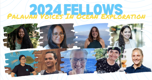 Nine professionals selected for Palauan Voices in Ocean Exploration Fellowship  