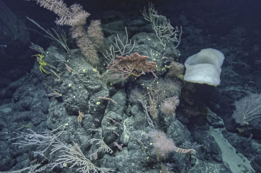 rocky outcrop deep sea OET