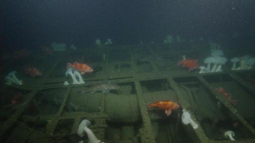 Submarine USS Bugara