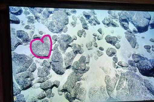 heart shaped rock at the bottom of the ocean