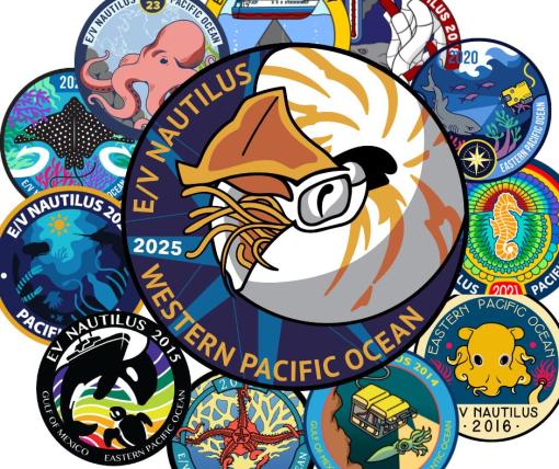 2025 patch winner centered 