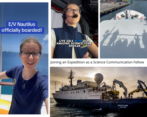 Erin Anthony collage of video stories