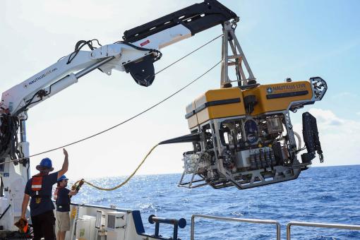 launching little hercules