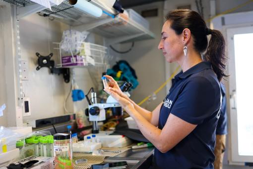  Aboard the vessel, our data and wet labs are used for processing digital data and physical samples.