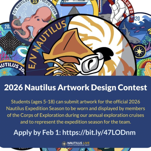 art contest OET 2026