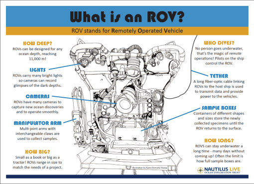 Find a downloadable version of this photo here.