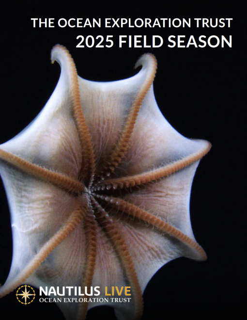 2025 Annual Report no cross bar
