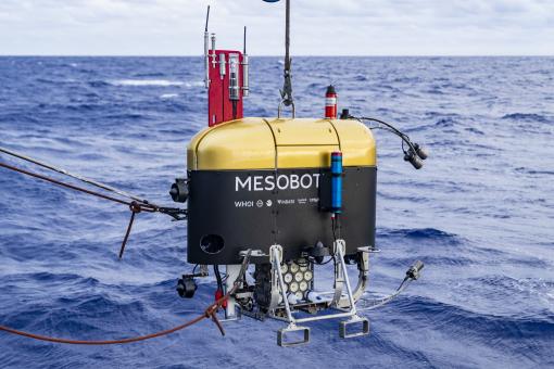 Mesobot