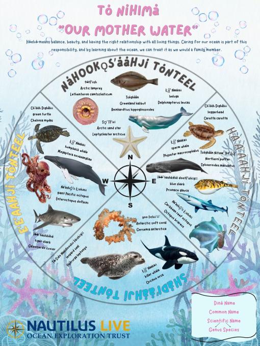 Navajo language animal poster