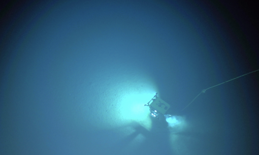 abyssal plain