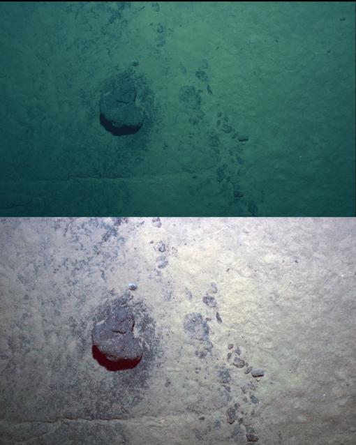 color corrected deep sea photo