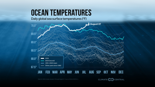 Plot of ocean temperature from 1982 to 2026