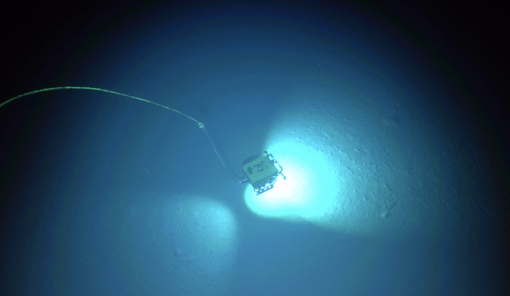 abyssal plain rov little hercules