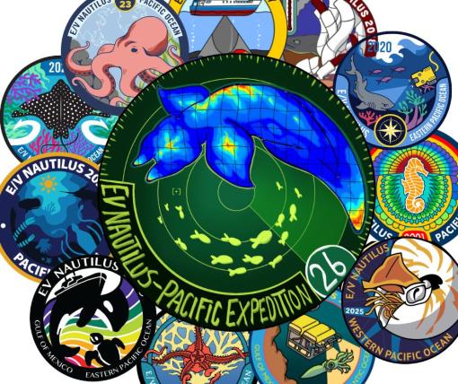 2026 patch contest collage