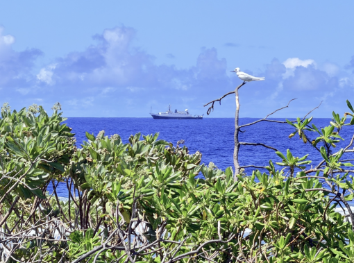 oet off wake atoll