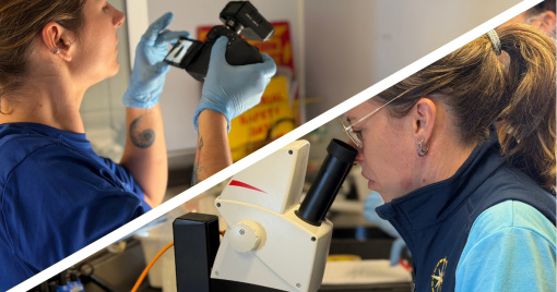 Getting a Clearer Picture of Deep Sea Samples