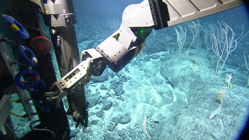 ROV Hercules manipulator arm