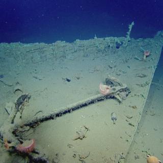 Bow of shipwreck