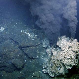 Endeavour hydrothermal vent field