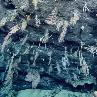 Exploring Mud Volcanoes and the Mariana Trench
