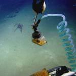 Suction sampler retrieves a glass jar from Monterrey A shipwreck