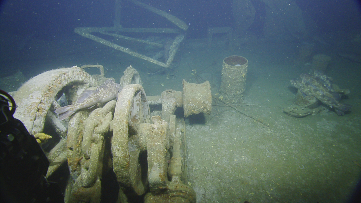 SS Coast Trader: Wreck Survey | Nautilus Live