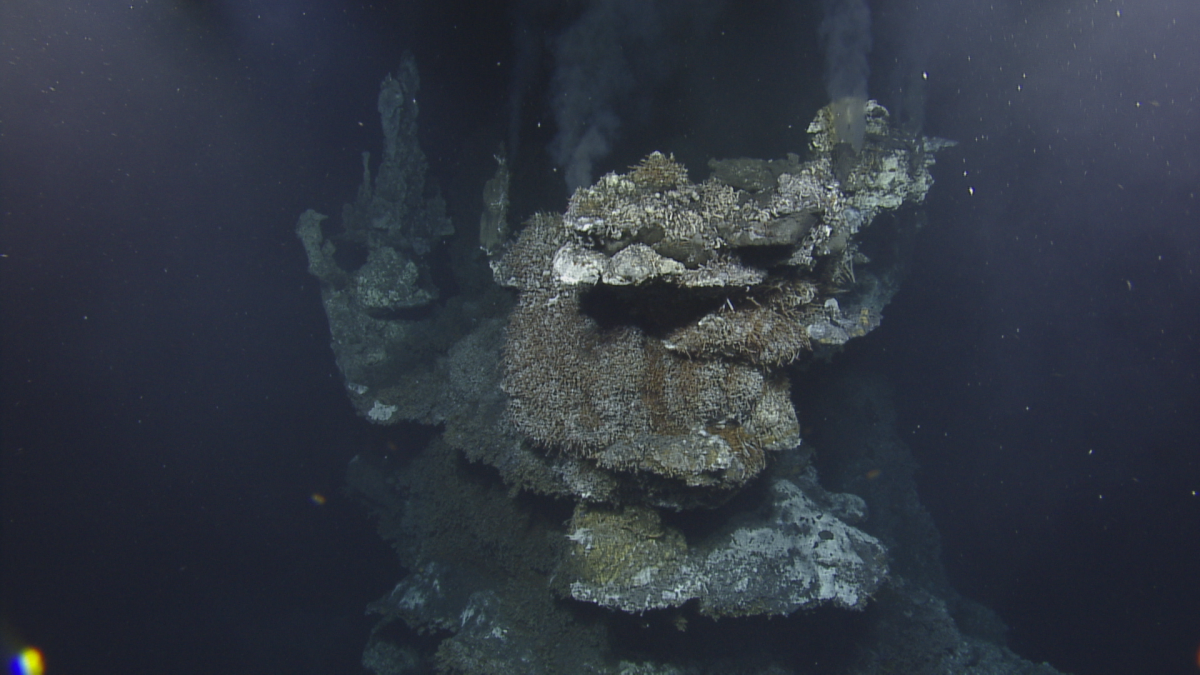 Deep Sea Geology Rocks: Hydrothermal Vent and Underwater Geologic  Formations | Nautilus Live